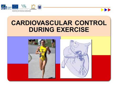 CARDIOVASCULAR CONTROL DURING EXERCISE. Major Cardiovascular Functions  Delivery (e.g., oxygen and nutrients)  Removal (e.g., carbon dioxide and waste.