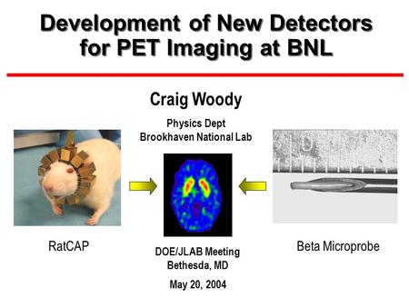 Development of New Detectors for PET Imaging at BNL DOE/JLAB Meeting Bethesda, MD May 20, 2004 Craig Woody Physics Dept Brookhaven National Lab RatCAPBeta.