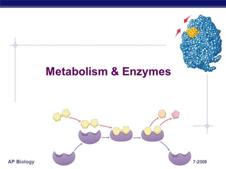 AP Biology 2007-2008 Metabolism & Enzymes AP Biology Enzymes  Biological catalysts  proteins (& RNA)  facilitate chemical reactions  increase rate.
