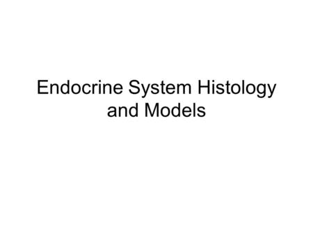 Endocrine System Histology and Models. ENDOCRINE SYSTEM Dry Lab Questions Function: maintain homeostasis Thymus gland (site of maturation of white blood.