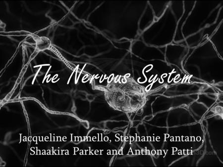 The Nervous System Jacqueline Immello, Stephanie Pantano, Shaakira Parker and Anthony Patti.