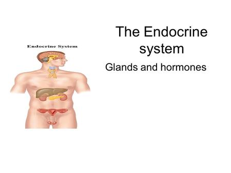 The Endocrine system Glands and hormones. Endocrine system 1. Functions: Producing hormones to help maintain homeostasis 2.Parts of endocrine system:
