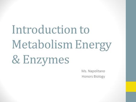 Introduction to Metabolism Energy & Enzymes Ms. Napolitano Honors Biology.