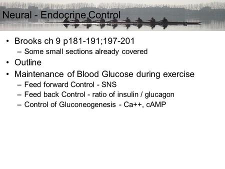 Brooks ch 9 p181-191;197-201 –Some small sections already covered Outline Maintenance of Blood Glucose during exercise –Feed forward Control - SNS –Feed.