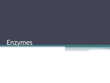 Enzymes. Bellringer In what foods do you find the following organic molecules: - carbohydrates - proteins - lipids.