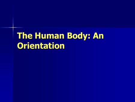 The Human Body: An Orientation.  Physiology/Intro%20to%20Anatomy% 20and%20Physiology/TheAmazingHu manBody.mov