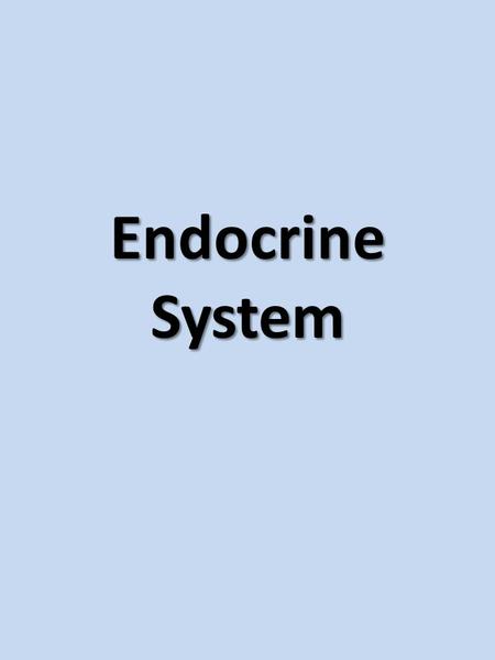 Endocrine System. The endocrine system is made up of glands that release hormones into the bloodstream to control body functions such as growth, reproduction,