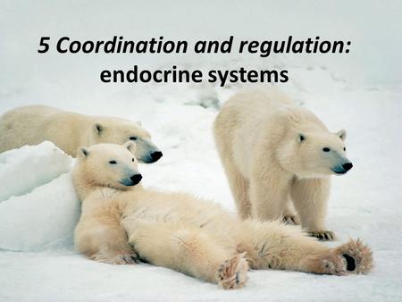 5 Coordination and regulation: endocrine systems.