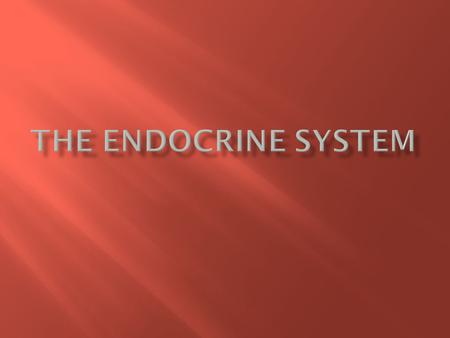  The Endocrine System controls many of the bodies daily activities as well as long term changes like development.