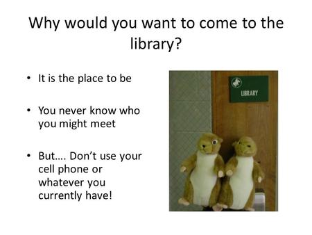 Why would you want to come to the library? It is the place to be You never know who you might meet But…. Don’t use your cell phone or whatever you currently.