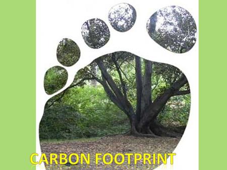 What is a carbon footprint? A carbon footprint is the total set of greenhouse gas(GHS) emissions caused directly and indirectly by an individual, organization,