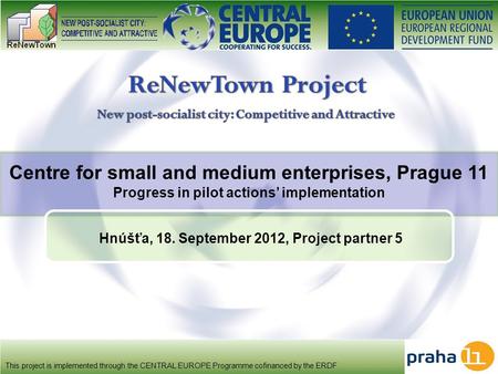 Centre for small and medium enterprises, Prague 11 Progress in pilot actions’ implementation This project is implemented through the CENTRAL EUROPE Programme.