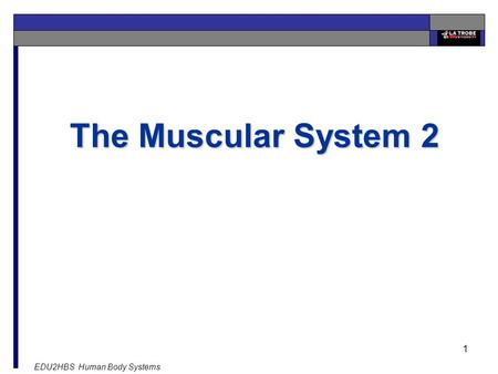 EDU2HBS Human Body Systems 1 The Muscular System 2.