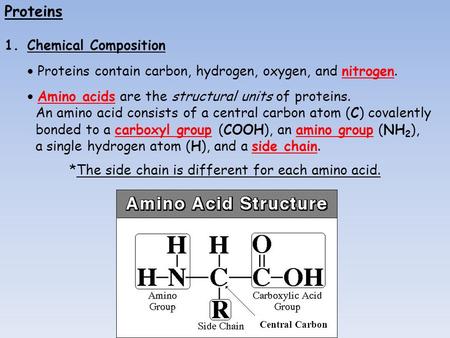 Proteins 1.Chemical Composition  Proteins contain carbon, hydrogen, oxygen, and nitrogen.  Amino acids are the structural units of proteins. An amino.