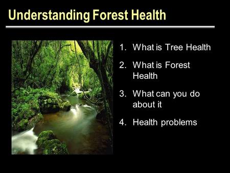 Understanding Forest Health 1.What is Tree Health 2.What is Forest Health 3.What can you do about it 4.Health problems.