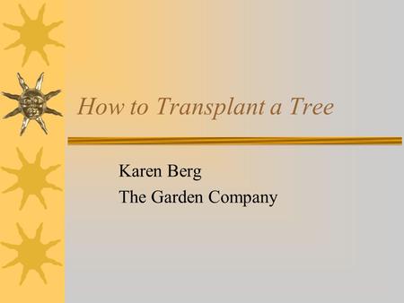 How to Transplant a Tree Karen Berg The Garden Company.