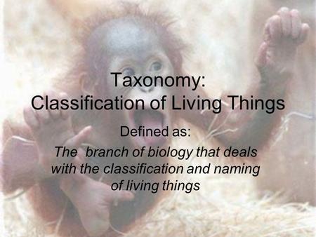 Taxonomy: Classification of Living Things Defined as: The branch of biology that deals with the classification and naming of living things.