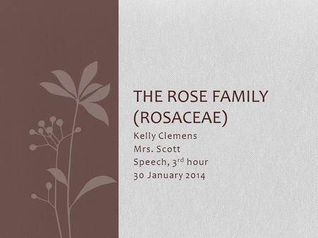 Kelly Clemens Mrs. Scott Speech, 3 rd hour 30 January 2014 THE ROSE FAMILY (ROSACEAE)