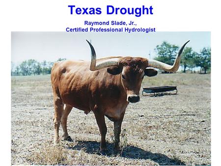 Texas Drought Raymond Slade, Jr., Certified Professional Hydrologist.