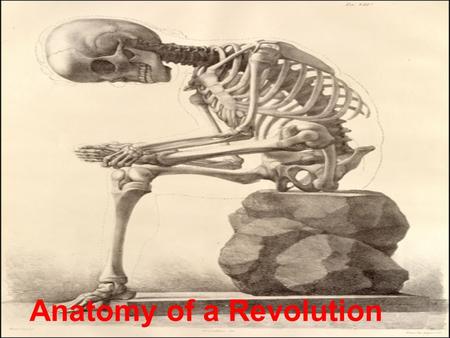 Anatomy of a Revolution. Describe the progression of an illness like the flu. Describe specific traits that these stages could share with other illnesses?