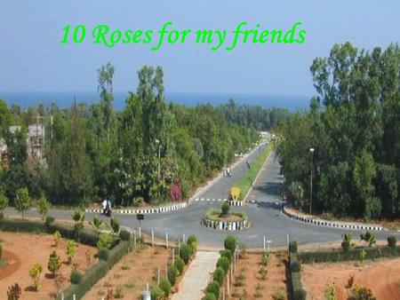 10 Roses for my friends. If you receive this … because you’re a special person to me.
