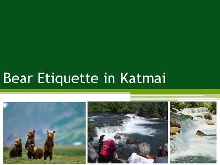 Bear Etiquette in Katmai. Problem: impacts to wildlife; crowding Management Strategies: harden the resource; increase supply; reduce the impact of use;