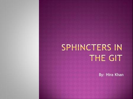 By: Hira Khan. A sphincter is usually a circular muscle, that normally maintains constriction of a natural body passage and which relaxes as required.
