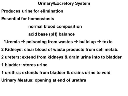 Urinary/Excretory System Produces urine for elimination Essential for homeostasis normal blood composition acid base (pH) balance *Uremia  poisoning from.