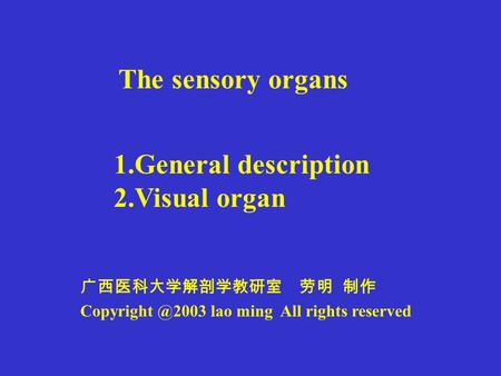 The sensory organs 广西医科大学解剖学教研室 劳明 制作 lao ming All rights reserved 1.General description 2.Visual organ.