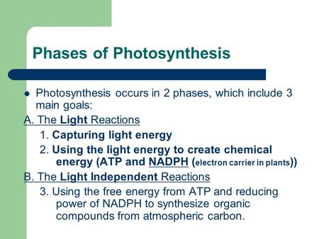 Phases of Photosynthesis Photosynthesis occurs in 2 phases, which include 3 main goals: A. The Light Reactions 1. Capturing light energy 2. Using the light.