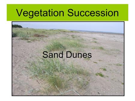 Vegetation Succession Sand Dunes. Plant Succession Evolution of plant communities From pioneer species to climax vegetation Related to change in the environment.