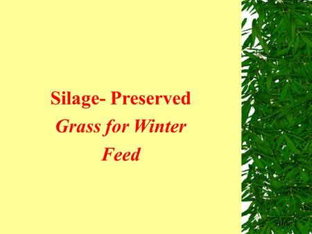 Slide 1 Silage- Preserved Grass for Winter Feed. Factors That Affect Silage Quality  Use of additives  Compaction  Speed of filling & sealing the pit.