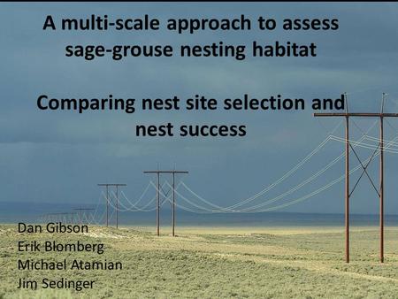 A multi-scale approach to assess sage-grouse nesting habitat Comparing nest site selection and nest success Dan Gibson Erik Blomberg Michael Atamian Jim.