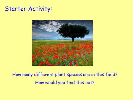 Starter Activity: How many different plant species are in this field? How would you find this out?