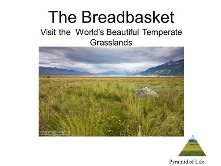 The Breadbasket Visit the World’s Beautiful Temperate Grasslands Pyramid of Life Travel.