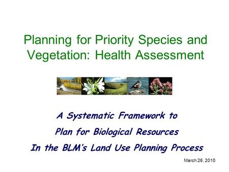 March 26, 2010 Planning for Priority Species and Vegetation: Health Assessment A Systematic Framework to Plan for Biological Resources In the BLM’s Land.