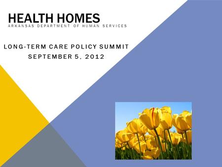 HEALTH HOMES ARKANSAS DEPARTMENT OF HUMAN SERVICES LONG-TERM CARE POLICY SUMMIT SEPTEMBER 5, 2012.