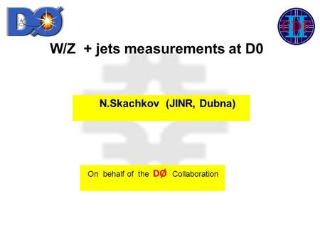 W/Z + jets measurements at D0 On behalf of the DØ Collaboration N.Skachkov (JINR, Dubna)