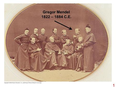 1 Gregor Mendel 1822 – 1884 C.E.. Stamens Carpel Parental generation (P) TECHNIQUE 1 2 3 4 2.