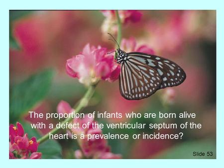 The proportion of infants who are born alive with a defect of the ventricular septum of the heart is a prevalence or incidence? Slide 53.