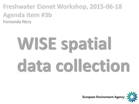 Freshwater Eionet Workshop, 2015-06-18 Agenda item #3b Fernanda Nery WISE spatial data collection.