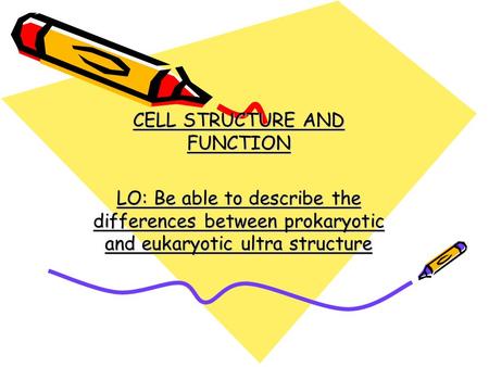 CELL STRUCTURE AND FUNCTION LO: Be able to describe the differences between prokaryotic and eukaryotic ultra structure.