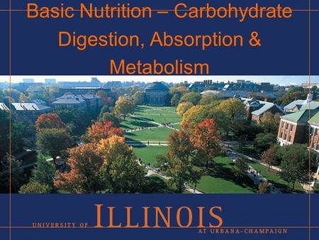 Basic Nutrition – Carbohydrate Digestion, Absorption & Metabolism.