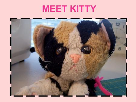MEET KITTY Kitty loves to sew! OH NO! Kitty ran out of fabric!