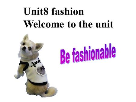 Unit8 fashion Welcome to the unit. red green yellowblue pink purple orangegrey white black brown.