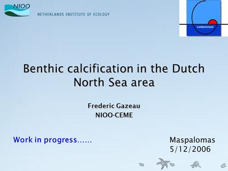 Benthic calcification in the Dutch North Sea area Frederic Gazeau NIOO-CEME Work in progress…… Maspalomas 5/12/2006.