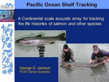 Pacific Ocean Shelf Tracking A Continental scale acoustic array for tracking the life histories of salmon and other species George D. Jackson POST Senior.