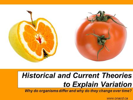 Historical and Current Theories to Explain Variation Why do organisms differ and why do they change over time? www.onacd.ca.