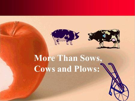 More Than Sows, Cows and Plows: School-based Agricultural Education Today.