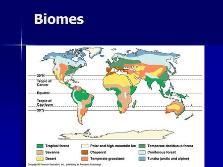 Biomes. Major Biomes Tropical rain forest Tropical rain forest Tropical dry forest Tropical dry forest Savanna Savanna Grassland Grassland Desert Desert.
